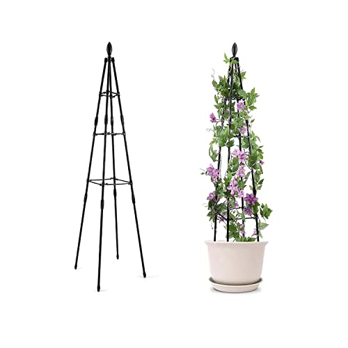 Obelisk Rankgitter für Kletterpflanzen, Outdoor-Pflanze, Innenbereich, Metall, Gurke für Töpfe, Halter, Ständer für Töpfe (Schwarz, 119,4 cm) von BSKJMMP