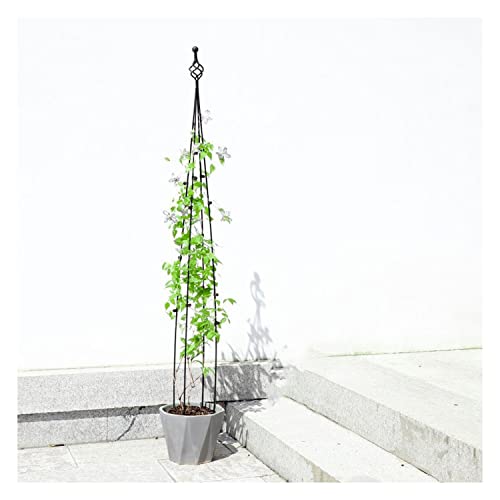 Pflanzenspalier für Kletterpflanzen, Rosenstrauchspalier, Garten, Obelisk, rostfreies Metall, für Garten, Hinterhof, Rasen, Schwarz (88,9 cm) von BSKJMMP