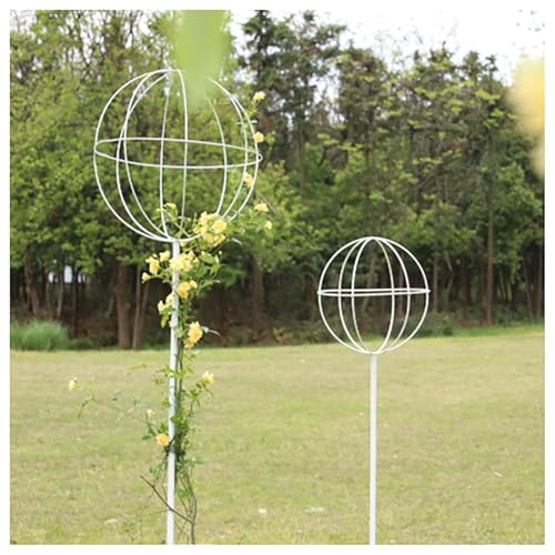Rankgitter für Kletterpflanzen, Metall, Gartenstütze, Eisen, Pflanzenständer für Rasen, Garten, Clematis, Jasmin, Rose, Schwarz, 1 Packung (Weiß, 88,9 x 21,8 cm) von BSKJMMP