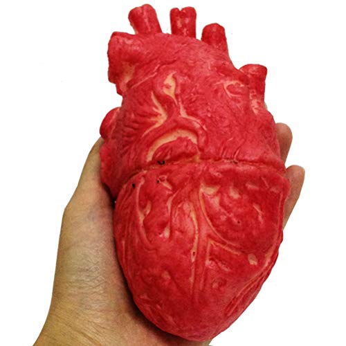 BSTQC Fake Human Heart, Fake Human Heart Latex Lebensgroßes Herz Blutige Horror Requisiten für Halloween von BSTQC