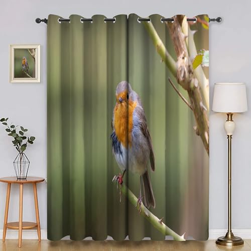 BSYYZQC AST Gardinen, Verdunklungsvorhänge Rotkehlchen Schallschutz Vorhang, Blickdicht Vorhänge mit Ösen, Vorhänge Wohnzimmer für Schlafzimmer Kinderzimmer 2er Set 175x140cm (HxB) von BSYYZQC