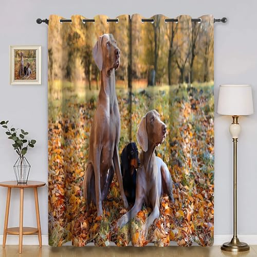 BSYYZQC Ahornblatt Verdunkelungsvorhang, Vorhang Blickdicht Hund Vorhänge mit Ösen, Gardinen Verdunklungsvorhänge für Wohnzimmer Schlafzimmer Kinderzimmer 2er Set 145x140cm (HxB) von BSYYZQC