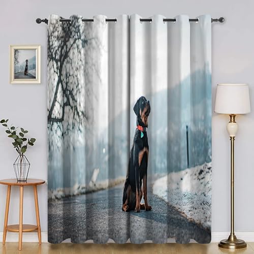 BSYYZQC Autobahn Blackout Vorhang, Vorhänge Blickdicht Jagdhund Gardinen mit ösen, Gegen Kälte Super Weich Schallschutz Vorhang für Schlafzimmer 2er Set 220x140cm (HxB) von BSYYZQC