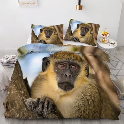 BSYYZQC Bettwäsche 135x200 BäUme Bettwäsche-Sets GrüNer AFFE Bettbezug Weiche Atmungsaktiv Mikrofaser mit Reißverschluss und 2 Kissenbezüge 80x80 für Kinder Geeignet BSYYZQC Bettwäsche 135x200 BäUme Bettwäsche-Sets GrüNer AFFE Bettbezug Weiche Atmungsaktiv Mikrofaser mit Reißverschluss und 2 Kissenbezüge 80x80 für Kinder Geeignet von BSYYZQC