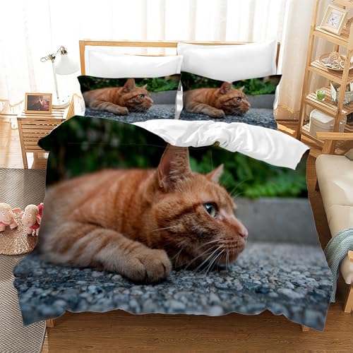 BSYYZQC Bettwäsche 140x200 Katze Microfaser BettwäSche-Sets mit ReißVerschluss, Haustier Hautfreundlich Bettwaren, Bedding EnthäLt 1 Bettbezug und 2 Kissenbezug 80x80 BSYYZQC Bettwäsche 140x200 Katze Microfaser BettwäSche-Sets mit ReißVerschluss, Haustier Hautfreundlich Bettwaren, Bedding EnthäLt 1 Bettbezug und 2 Kissenbezug 80x80 von BSYYZQC