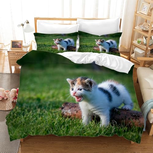 BSYYZQC Bettwäsche 180x200 3teilig Katze Mikrofaser Bettbezug Kleine Tiere Bettwäsche-Sets mit 2 Kissenbezüge 80x80cm, Wendebettwäsche Bedding mit Reißverschluss BSYYZQC Bettwäsche 180x200 3teilig Katze Mikrofaser Bettbezug Kleine Tiere Bettwäsche-Sets mit 2 Kissenbezüge 80x80cm, Wendebettwäsche Bedding mit Reißverschluss von BSYYZQC