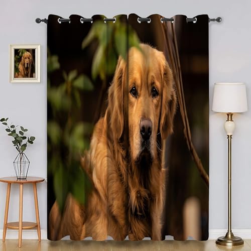 BSYYZQC BläTter Gardinen, Verdunklungsvorhänge Golden Retriever Schallschutz Vorhang, Blickdicht Vorhänge mit Ösen, Vorhänge Wohnzimmer für Schlafzimmer Kinderzimmer 2er Set 175x140cm (HxB) von BSYYZQC