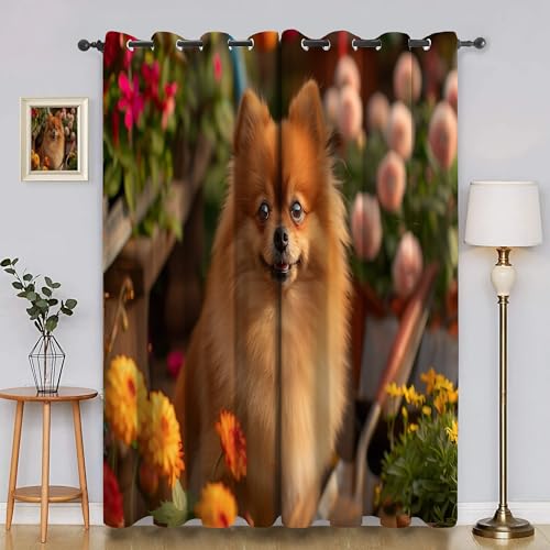 BSYYZQC Blumen Vorhänge, Fenstergardinen Zwergspitz Outdoor Vorhang Wetterfest mit ösen, für Kinderschlafzimmerbadezimmerküchentür-Heimdekor 2er Set 245x140cm (HxB) von BSYYZQC