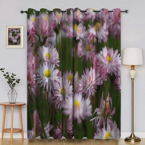 BSYYZQC Blumen Vorhang Verdunkelung, Ösenvorhang GäNseblüMchen Verdunklungsvorhänge Geräuschreduzierend, Polyester Anti-Fade Gardinen für Schlafzimmer 2er Set 260x140cm (HxB) von BSYYZQC