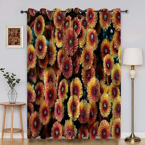 BSYYZQC Chrysantheme Verdunkelungsvorhang, Vorhang Blickdicht Blumen Vorhänge mit Ösen, Gardinen Verdunklungsvorhänge für Wohnzimmer Schlafzimmer Kinderzimmer 2er Set 145x140cm (HxB) von BSYYZQC