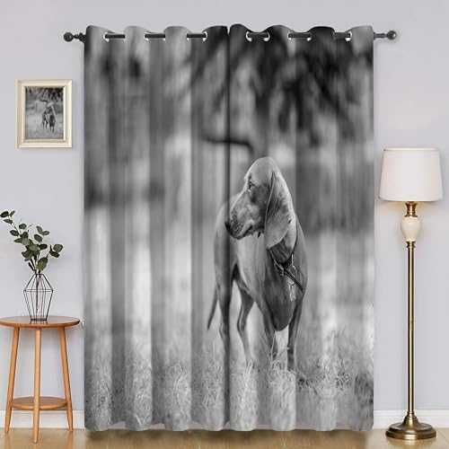 BSYYZQC Dackel Blackout Vorhang, Vorhänge Blickdicht Grau Gardinen mit ösen, Gegen Kälte Super Weich Schallschutz Vorhang für Schlafzimmer 2er Set 220x140cm (HxB) von BSYYZQC