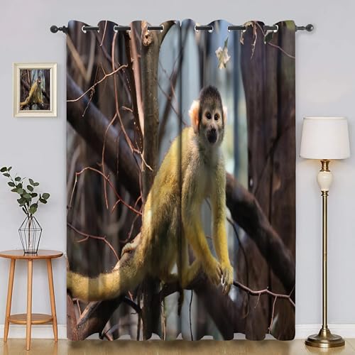 BSYYZQC EichhöRnchenaffe Vorhang Verdunkelung, Ösenvorhang AST Verdunklungsvorhänge Geräuschreduzierend, Polyester Anti-Fade Gardinen für Schlafzimmer 2er Set 260x140cm (HxB) von BSYYZQC