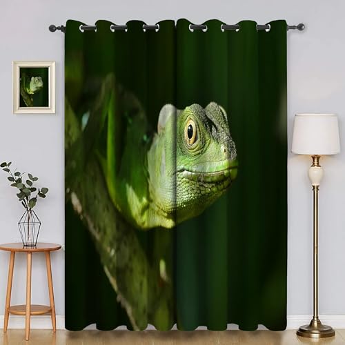 BSYYZQC Eidechse Blackout Vorhang, Vorhänge Blickdicht GrüNer Wald Gardinen mit ösen, Gegen Kälte Super Weich Schallschutz Vorhang für Schlafzimmer 2er Set 220x140cm (HxB) von BSYYZQC