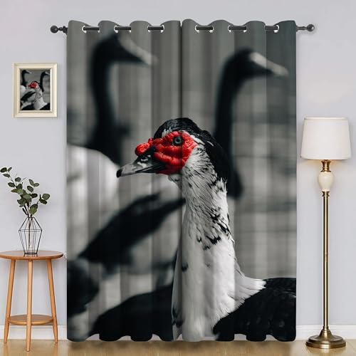 BSYYZQC GeflüGel Blackout Vorhang, Vorhänge Blickdicht Wildente Gardinen mit ösen, Gegen Kälte Super Weich Schallschutz Vorhang für Schlafzimmer 2er Set 220x140cm (HxB) von BSYYZQC