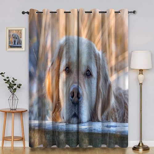 BSYYZQC Gras Verdunkelungsvorhang, Vorhang Blickdicht Golden Retriever Vorhänge mit Ösen, Gardinen Verdunklungsvorhänge für Wohnzimmer Schlafzimmer Kinderzimmer 2er Set 145x140cm (HxB) von BSYYZQC