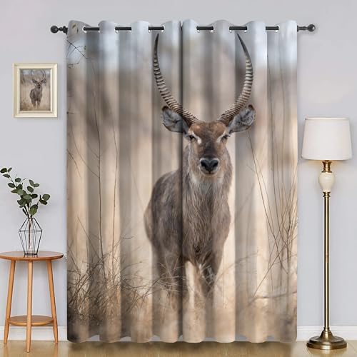 BSYYZQC Gras Vorhänge, Fenstergardinen Wasserbock Outdoor Vorhang Wetterfest mit ösen, für Kinderschlafzimmerbadezimmerküchentür-Heimdekor 2er Set 245x140cm (HxB) von BSYYZQC