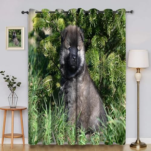 BSYYZQC GroßEr Gelber Hund Blackout Vorhang, Vorhänge Blickdicht Gras Gardinen mit ösen, Gegen Kälte Super Weich Schallschutz Vorhang für Schlafzimmer 2er Set 220x140cm (HxB) von BSYYZQC