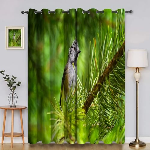 BSYYZQC Haubenmeise Verdunkelungsvorhang, Vorhang Blickdicht äSte Vorhänge mit Ösen, Gardinen Verdunklungsvorhänge für Wohnzimmer Schlafzimmer Kinderzimmer 2er Set 145x140cm (HxB) von BSYYZQC