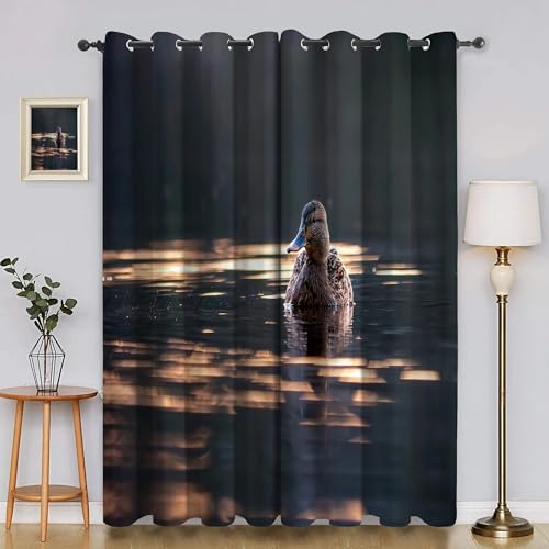 BSYYZQC Meerwasser Gardinen, Verdunklungsvorhänge Ente Schallschutz Vorhang, Blickdicht Vorhänge mit Ösen, Vorhänge Wohnzimmer für Schlafzimmer Kinderzimmer 2er Set 175x140cm (HxB) von BSYYZQC