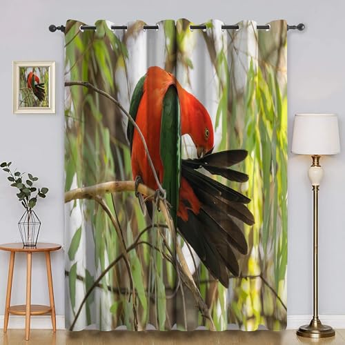 BSYYZQC Papagei Verdunkelungsvorhang, Vorhang Blickdicht AST Vorhänge mit Ösen, Gardinen Verdunklungsvorhänge für Wohnzimmer Schlafzimmer Kinderzimmer 2er Set 145x140cm (HxB) von BSYYZQC