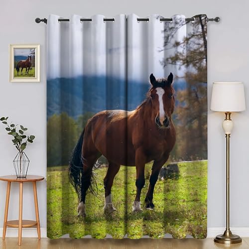 BSYYZQC Pferd Verdunkelungsvorhang, Vorhang Blickdicht Wiese Vorhänge mit Ösen, Gardinen Verdunklungsvorhänge für Wohnzimmer Schlafzimmer Kinderzimmer 2er Set 145x140cm (HxB) von BSYYZQC