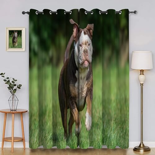 BSYYZQC Rasen Verdunkelungsvorhang, Vorhang Blickdicht Bulle Vorhänge mit Ösen, Gardinen Verdunklungsvorhänge für Wohnzimmer Schlafzimmer Kinderzimmer 2er Set 145x140cm (HxB) von BSYYZQC