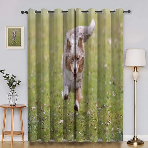 BSYYZQC Rasen Verdunkelungsvorhang, Vorhang Blickdicht SchäFerhund Vorhänge mit Ösen, Gardinen Verdunklungsvorhänge für Wohnzimmer Schlafzimmer Kinderzimmer 2er Set 145x140cm (HxB) von BSYYZQC