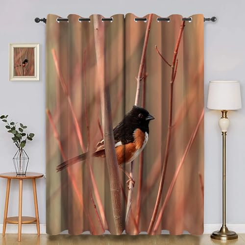 BSYYZQC Rotauge Verdunkelungsvorhang, Vorhang Blickdicht äSte Vorhänge mit Ösen, Gardinen Verdunklungsvorhänge für Wohnzimmer Schlafzimmer Kinderzimmer 2er Set 145x140cm (HxB) von BSYYZQC