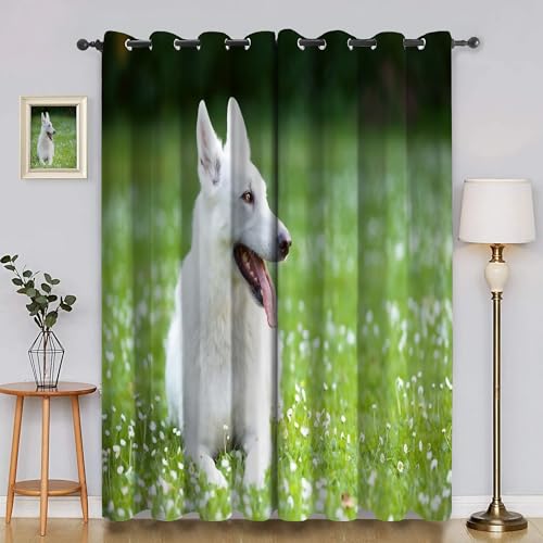 BSYYZQC SchäFerhund Verdunkelungsvorhang, Vorhang Blickdicht Kleine Blume Vorhänge mit Ösen, Gardinen Verdunklungsvorhänge für Wohnzimmer Schlafzimmer Kinderzimmer 2er Set 145x140cm (HxB) von BSYYZQC