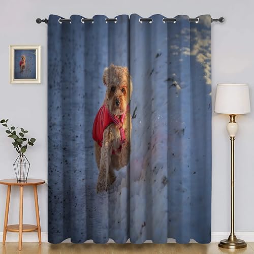 BSYYZQC Schnee Blackout Vorhang, Vorhänge Blickdicht Pudel Gardinen mit ösen, Gegen Kälte Super Weich Schallschutz Vorhang für Schlafzimmer 2er Set 220x140cm (HxB) von BSYYZQC