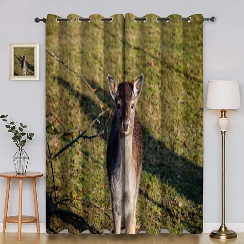 BSYYZQC Sikahirsch Gardinen, Verdunklungsvorhänge Gras Schallschutz Vorhang, Blickdicht Vorhänge mit Ösen, Vorhänge Wohnzimmer für Schlafzimmer Kinderzimmer 2er Set 175x140cm (HxB) von BSYYZQC