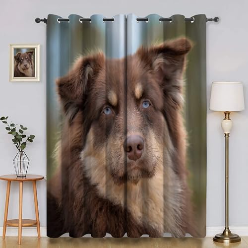 BSYYZQC Tier Blackout Vorhang, Vorhänge Blickdicht Hund Gardinen mit ösen, Gegen Kälte Super Weich Schallschutz Vorhang für Schlafzimmer 2er Set 220x140cm (HxB) von BSYYZQC