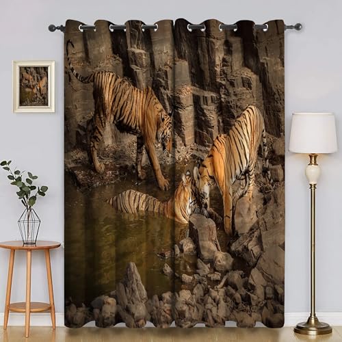 BSYYZQC Tiger Gardinen, Verdunklungsvorhänge Stein Schallschutz Vorhang, Blickdicht Vorhänge mit Ösen, Vorhänge Wohnzimmer für Schlafzimmer Kinderzimmer 2er Set 175x140cm (HxB) von BSYYZQC