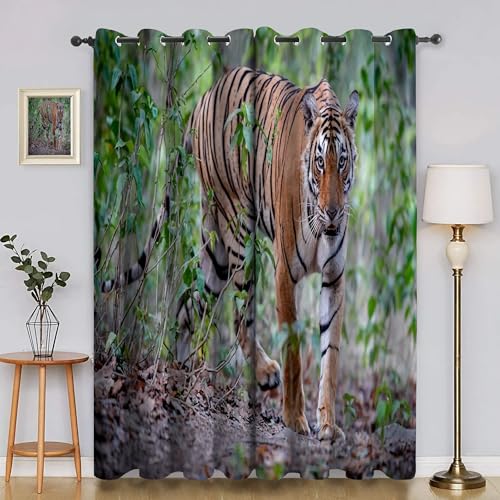 BSYYZQC Wald Vorhänge, Fenstergardinen Tiger Outdoor Vorhang Wetterfest mit ösen, für Kinderschlafzimmerbadezimmerküchentür-Heimdekor 2er Set 245x140cm (HxB) von BSYYZQC