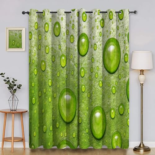 BSYYZQC Wassertropfen Gardinen, Verdunklungsvorhänge Pflanzen Schallschutz Vorhang, Blickdicht Vorhänge mit Ösen, Vorhänge Wohnzimmer für Schlafzimmer Kinderzimmer 2er Set 175x140cm (HxB) von BSYYZQC