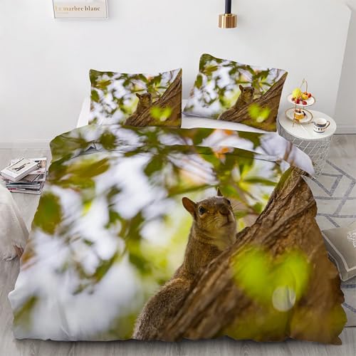 Bettwäsche 135x200 EichhöRnchen Bettwäsche-Sets Baum Bettbezug Weiche Atmungsaktiv Mikrofaser mit Reißverschluss und 2 Kissenbezüge 80x80 für Kinder Geeignet von BSYYZQC