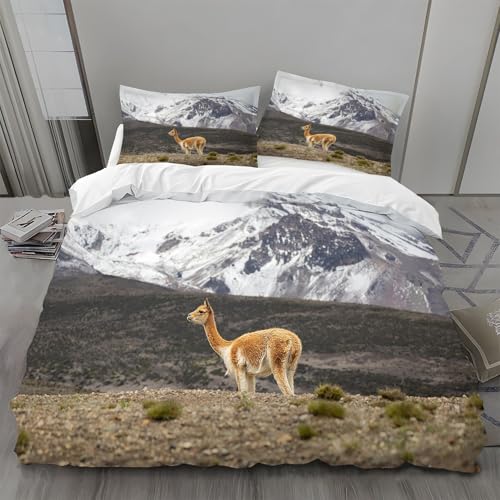 Bettwäsche 135x200 Eisberg Bettwäsche-Sets Alpakas Bettbezug Weiche Atmungsaktiv Mikrofaser mit Reißverschluss und 2 Kissenbezüge 80x80 für Kinder Geeignet von BSYYZQC