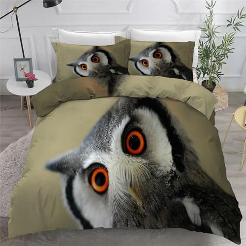 Bettwäsche 135x200 Eule Microfaser BettwäSche-Sets mit ReißVerschluss, Tiere Hautfreundlich Bettwaren, Bedding EnthäLt 1 Bettbezug und 2 Kissenbezug 80x80 von BSYYZQC