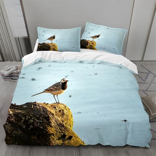 Bettwäsche 135x200 WeißKehlchen Bettwäsche-Sets Steine Bettbezug Weiche Atmungsaktiv Mikrofaser mit Reißverschluss und 2 Kissenbezüge 80x80 für Kinder Geeignet Bettwäsche 135x200 WeißKehlchen Bettwäsche-Sets Steine Bettbezug Weiche Atmungsaktiv Mikrofaser mit Reißverschluss und 2 Kissenbezüge 80x80 für Kinder Geeignet von BSYYZQC