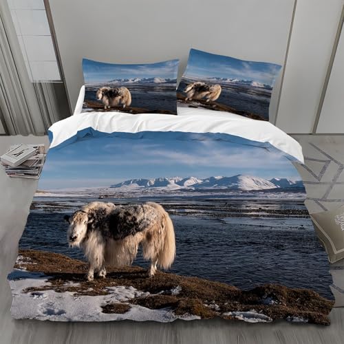 Bettwäsche 135x200 Yaks Bettwäsche-Sets Steine Bettbezug Weiche Atmungsaktiv Mikrofaser mit Reißverschluss und 2 Kissenbezüge 80x80 für Kinder Geeignet Bettwäsche 135x200 Yaks Bettwäsche-Sets Steine Bettbezug Weiche Atmungsaktiv Mikrofaser mit Reißverschluss und 2 Kissenbezüge 80x80 für Kinder Geeignet von BSYYZQC