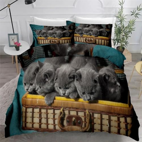 Bettwäsche 140x200 3teilig Katze Mikrofaser Bettbezug Haustiere Bettwäsche-Sets mit 2 Kissenbezüge 80x80cm, Wendebettwäsche Bedding mit Reißverschluss von BSYYZQC