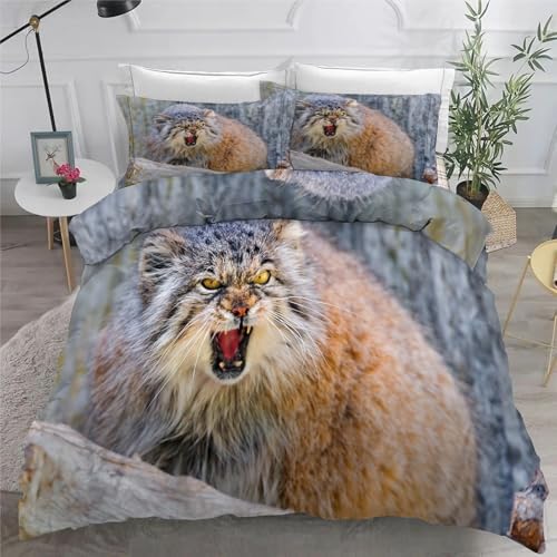 Bettwäsche 140x200 Fuchs Microfaser BettwäSche-Sets mit ReißVerschluss, Wildtiere Hautfreundlich Bettwaren, Bedding EnthäLt 1 Bettbezug und 2 Kissenbezug 80x80 von BSYYZQC