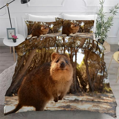 Bettwäsche 155x220 Murmeltiere Microfaser BettwäSche-Sets mit ReißVerschluss, Niedlich Hautfreundlich Bettwaren, Bedding EnthäLt 1 Bettbezug und 2 Kissenbezug 80x80 von BSYYZQC