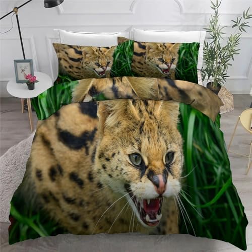 Bettwäsche 200x200 3teilig Wildkatze Mikrofaser Bettbezug Tiere Bettwäsche-Sets mit 2 Kissenbezüge 80x80cm, Wendebettwäsche Bedding mit Reißverschluss von BSYYZQC