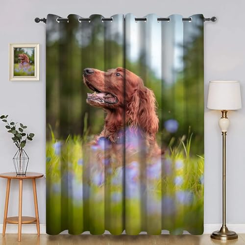 Langhaariger Jagdhund Gardinen, Verdunklungsvorhänge Violette Blume Schallschutz Vorhang, Blickdicht Vorhänge mit Ösen, Vorhänge Wohnzimmer für Schlafzimmer Kinderzimmer 2er Set 175x140cm (HxB) von BSYYZQC