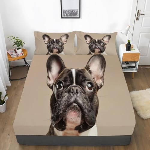 Spanbettlaken 140x200 Corgi Spannbetttuch Bulldogge Bettlaken Boxspringbett mit Gummizug Spannbettuch Mikrofaser für Matratzen von 30 cm Mit 2 Kissenbezüge 80x80 cm Spanbettlaken 140x200 Corgi Spannbetttuch Bulldogge Bettlaken Boxspringbett mit Gummizug Spannbettuch Mikrofaser für Matratzen von 30 cm Mit 2 Kissenbezüge 80x80 cm von BSYYZQC
