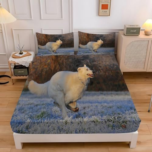 Spanbettlaken 140x200 SchäFerhund Spannbetttuch Blumen Bettlaken Boxspringbett mit Gummizug Spannbettuch Mikrofaser für Matratzen von 30 cm Mit 2 Kissenbezüge 80x80 cm Spanbettlaken 140x200 SchäFerhund Spannbetttuch Blumen Bettlaken Boxspringbett mit Gummizug Spannbettuch Mikrofaser für Matratzen von 30 cm Mit 2 Kissenbezüge 80x80 cm von BSYYZQC