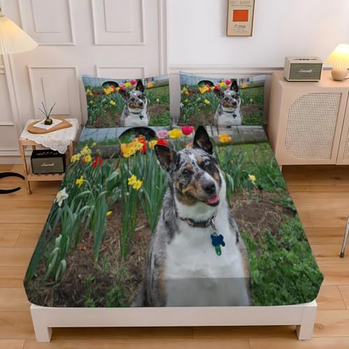 Spanbettlaken 140x200 Tulpe Spannbetttuch Corgi Bettlaken Boxspringbett mit Gummizug Spannbettuch Mikrofaser für Matratzen von 30 cm Mit 2 Kissenbezüge 80x80 cm Spanbettlaken 140x200 Tulpe Spannbetttuch Corgi Bettlaken Boxspringbett mit Gummizug Spannbettuch Mikrofaser für Matratzen von 30 cm Mit 2 Kissenbezüge 80x80 cm von BSYYZQC