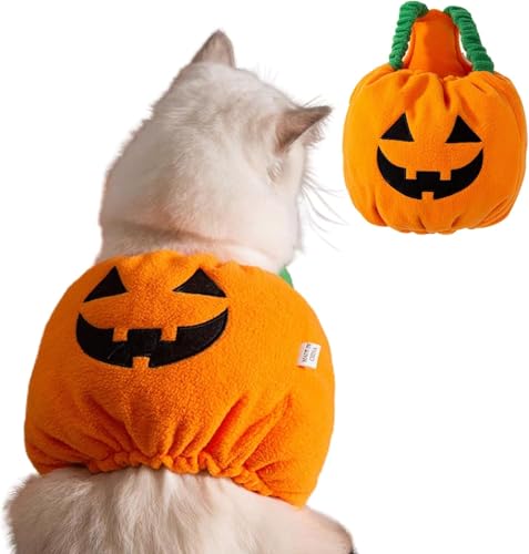 BT Bear Haustier-Halloween-Kostüm, lustiges Haustier-Kostüm, Hund und Katze, Halloween-Umhang, Urlaub, Cosplay-Kostüme (Kürbis, XS) von BT Bear