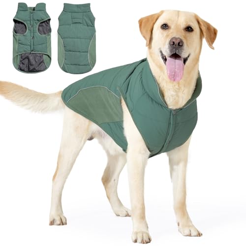 BT Bear Hunde-Wintermantel, warme, wasserdichte Jacke für große Hunde, Welpen-Winterjacke, winddichte Hundeweste, Grün, Größe L BT Bear Hunde-Wintermantel, warme, wasserdichte Jacke für große Hunde, Welpen-Winterjacke, winddichte Hundeweste, Grün, Größe L von BT Bear